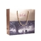 Abrazine UV imprimiu os sacos de compras de papel personalizou o saco do presente da promoção