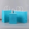 Sacos de mantimento de papel feitos sob encomenda de Logo Printed Paper Shopping Bags com punhos